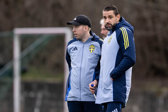 Head coach Mirza Jelečak of Sweden