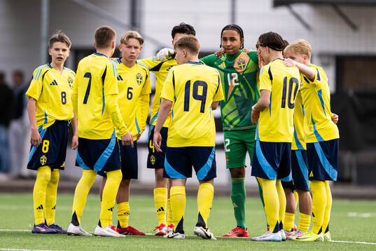 Players of Sweden