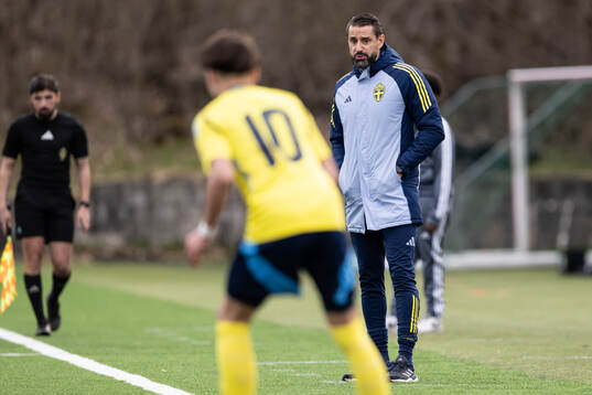 Head coach Mirza Jelečak of Sweden
