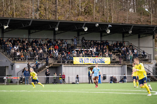 Spectators in the stands