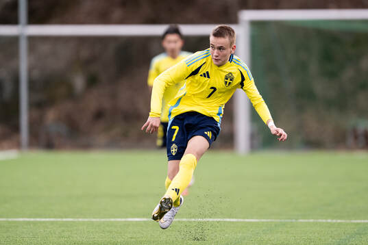 Nikolas Jovanovic of Sweden