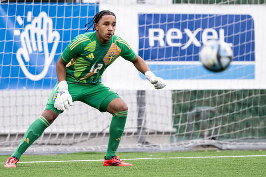 Goalkeeper Benjamin Norell of Sweden
