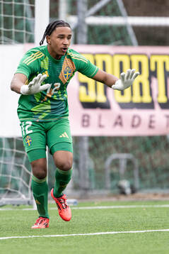 Goalkeeper Benjamin Norell of Sweden
