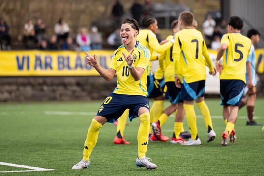 Alexander Erdogan of Sweden celebrates 1-1