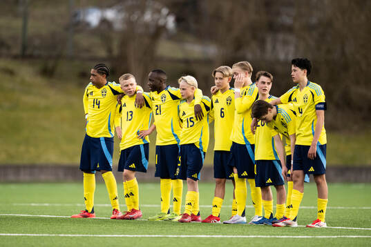 Players of Sweden