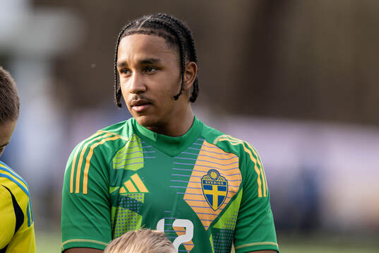 Goalkeeper Benjamin Norell of Sweden