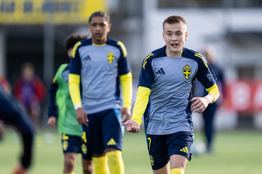 Nikolas Jovanovic of Sweden