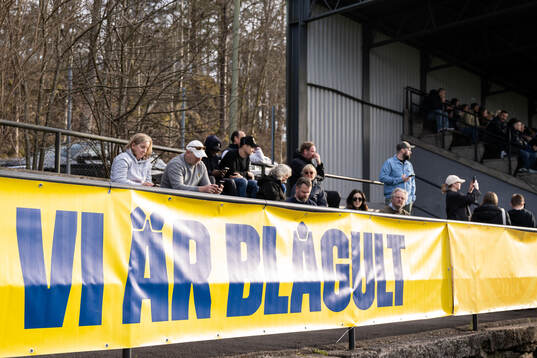 Banner with the text ”Vi är blågult”