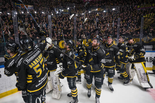 AIKs spelare jublar