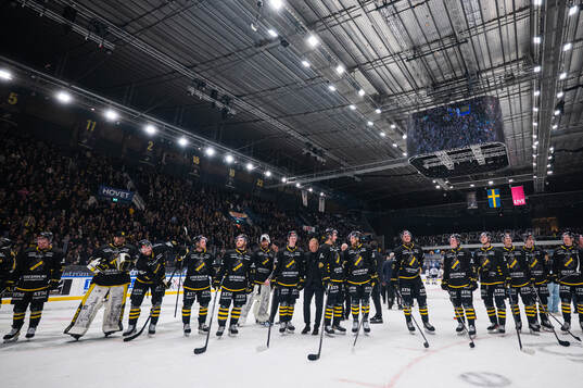 AIKs spelare jublar