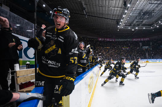 AIKs spelare jublar