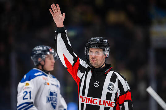 Domare Johan Magnusson