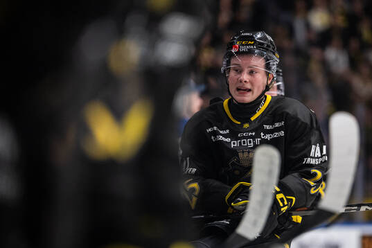 AIKs Theo Hårdstam
