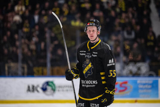 AIKs Viggo Gustafsson