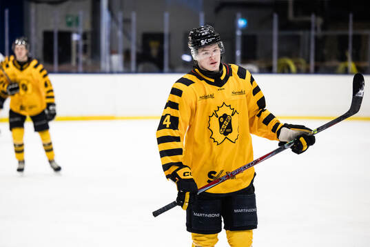 Skellefteås Rasmus Bergqvist deppar