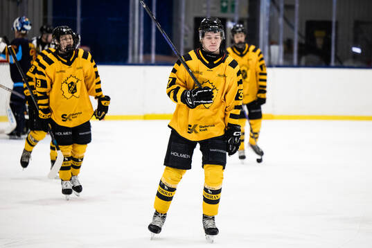 Skellefteås Rasmus Olsen Brekke deppar