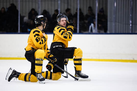 Skellefteås Elliot Ölund och Rasmus Olsen Brekke deppar