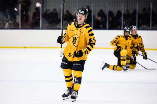 Skellefteås Melker Lovenlund deppar
