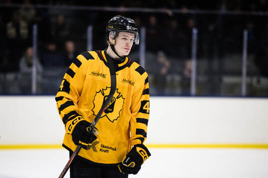 Skellefteås Rasmus Bergqvist deppar