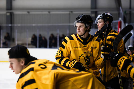 Skellefteås Wilmer Lindfors deppar med lagkamrater