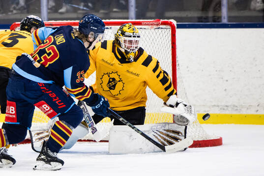 Skellefteås målvakt Love Härenstam