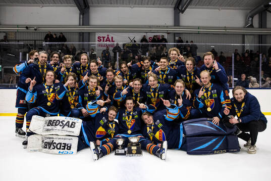 Djurgårdens spelare jublar