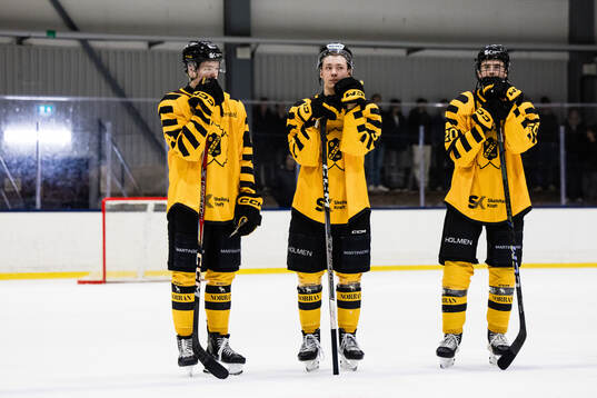 Skellefteås Rasmus Bergqvist, Valter Nyström-Dübbel och