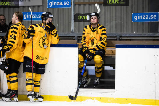 Skellefteås Vincent Wedin, John Anthony och Viktor