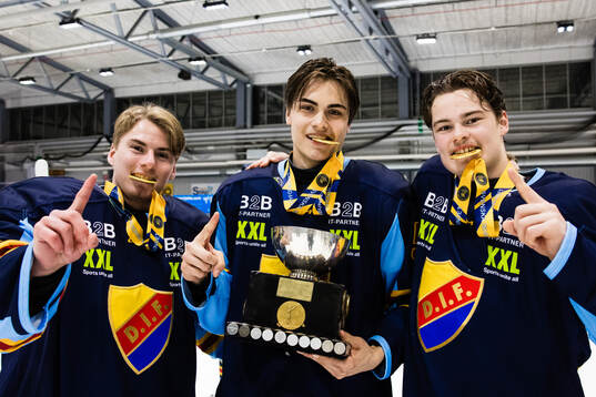 Djurgårdens målvakt Hugo Storåkers, Leon Bjelkelöv