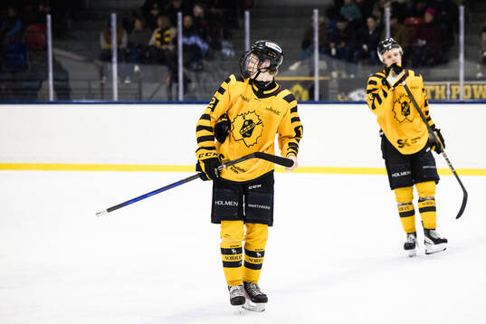 Skellefteås Alfons Ekblad deppar