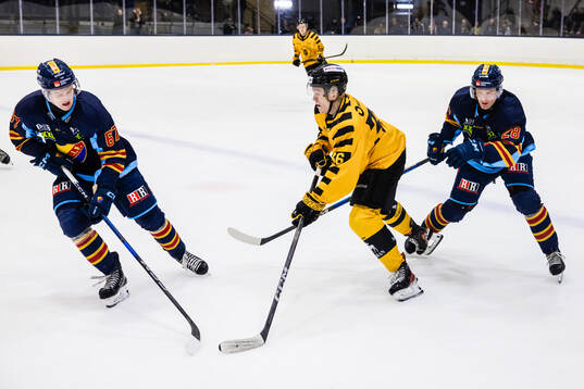 Djurgårdens Melvin Wersäll och Arvid Bergström
