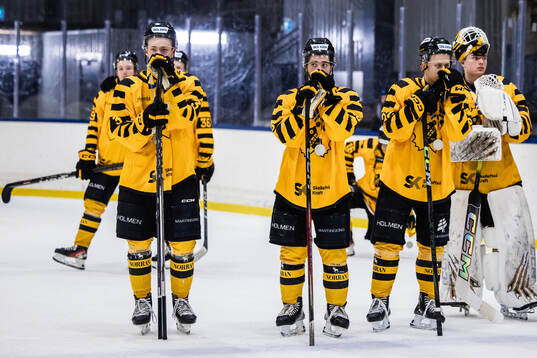 Skellefteås Rasmus Bergqvist, John Anthony, Noel Nyberg