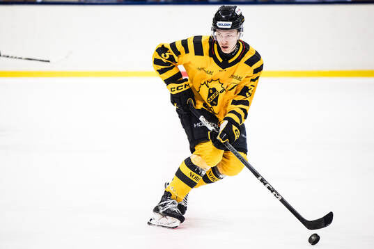 Skellefteås Valter Nyström-Dübbel