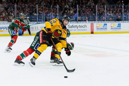 Luleås David Lilja