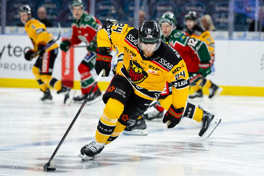 Luleås Brendan Shinnimin