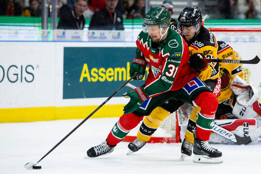 Frölundas Nicklas Lasu och Luleås Jesper Sellgren