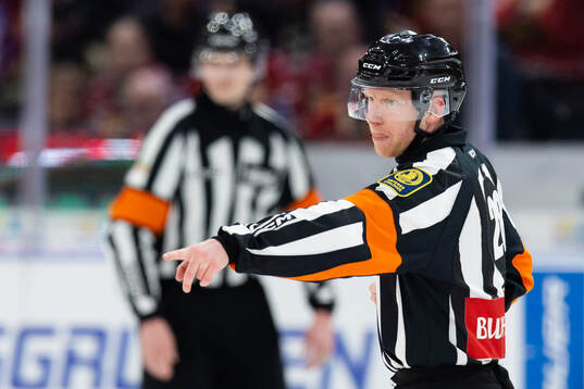 Domare Mikael Holm