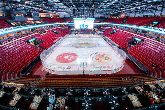 Monitor ERP Arena