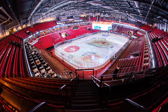 Monitor ERP arena