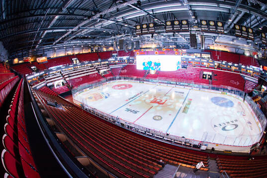 Monitor ERP Arena