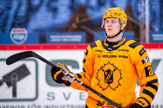 Skellefteås Michael Brandsegg-Nygård