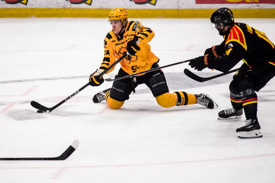 Skellefteås Michael Brandsegg-Nygård och Brynäs Johan