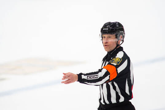 Domare Tobias Björk