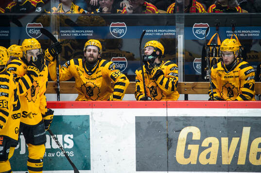 Skellefteås Arvid Lundberg och Jonathan Pudas deppar