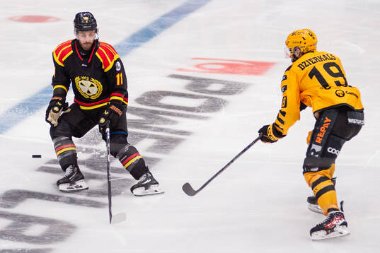 Brynäs Jordan Schroeder och Skellefteås Martins Dzierkals