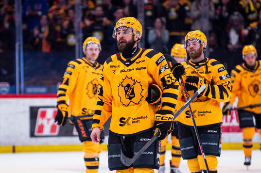 Skellefteås Luke Witkowski deppar