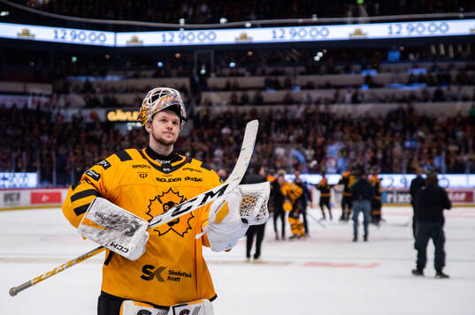 Skellefteås målvakt Linus Söderström deppar