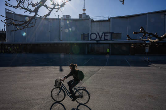 Exteriör vy av Hovet