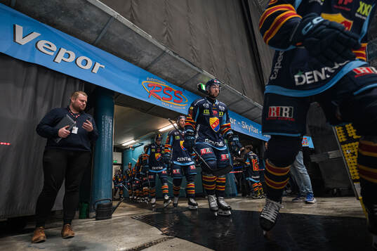Djurgårdens spelare