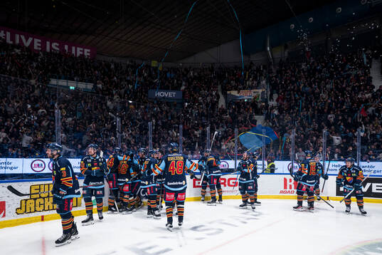 Djurgårdens spelare jublar